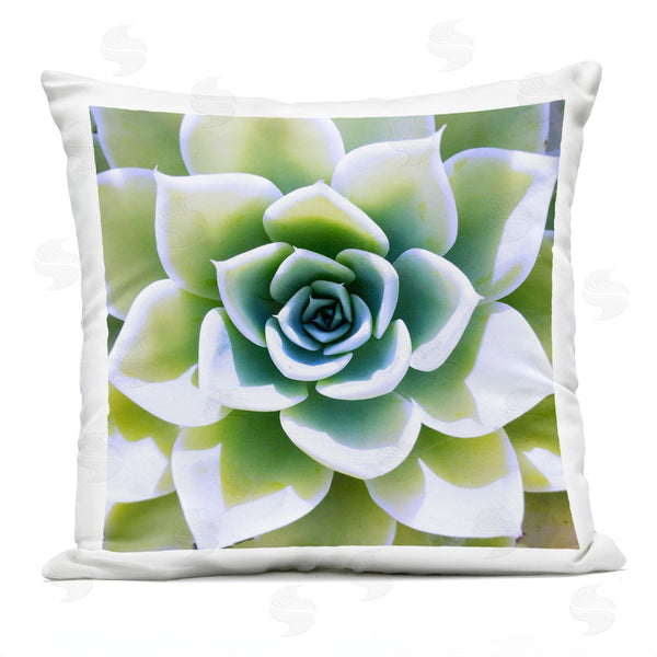 Stupell Industries Irena Orlov | Green Succulent Close Up Gardening Printed Throw Pillow
