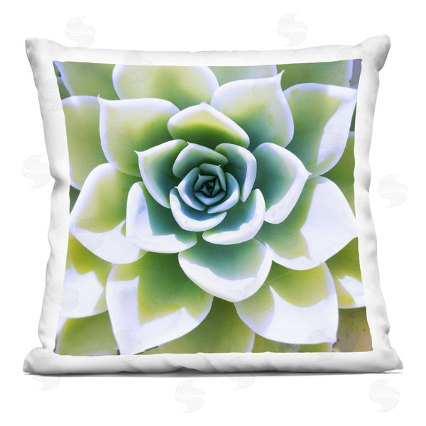 stupell industries Irena Orlov | Green Succulent Close Up Gardening Printed Throw Pillow