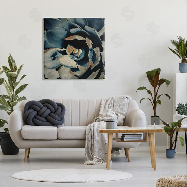 Stupell Industries Irena Orlov | Modern Succulent Leaves Wall Art