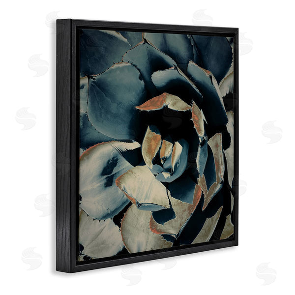 Stupell Industries Irena Orlov | Modern Succulent Leaves Wall Art