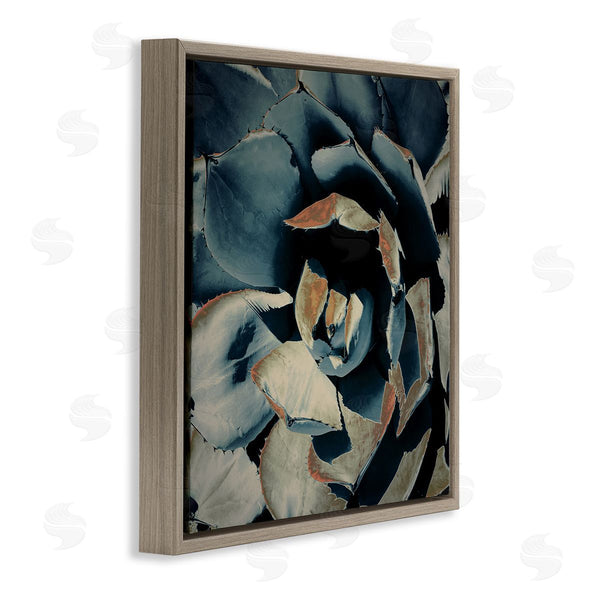 Stupell Industries Irena Orlov | Modern Succulent Leaves Wall Art