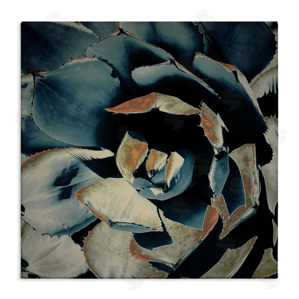 stupell industries Irena Orlov | Modern Succulent Leaves Wall Art