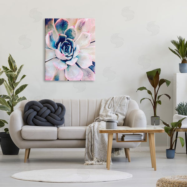 Stupell Industries Irena Orlov | Modern Succulent Plant View Wall Art