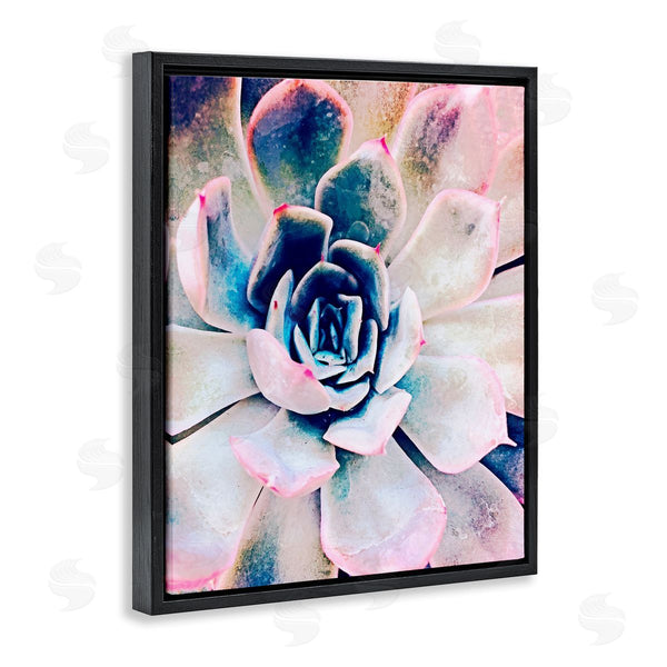 Stupell Industries Irena Orlov | Modern Succulent Plant View Wall Art