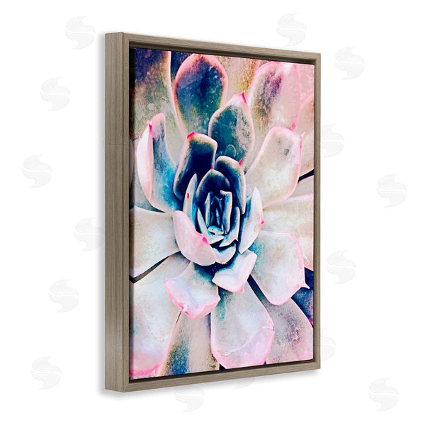 Stupell Industries Irena Orlov | Modern Succulent Plant View Wall Art