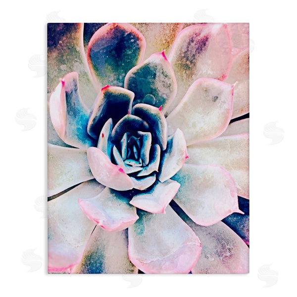 stupell industries Irena Orlov | Modern Succulent Plant View Wall Art