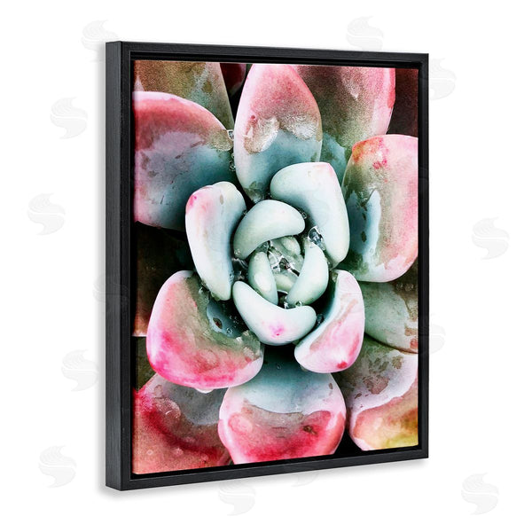 Stupell Industries Irena Orlov | Succulent Plant Rain Droplet Wall Art