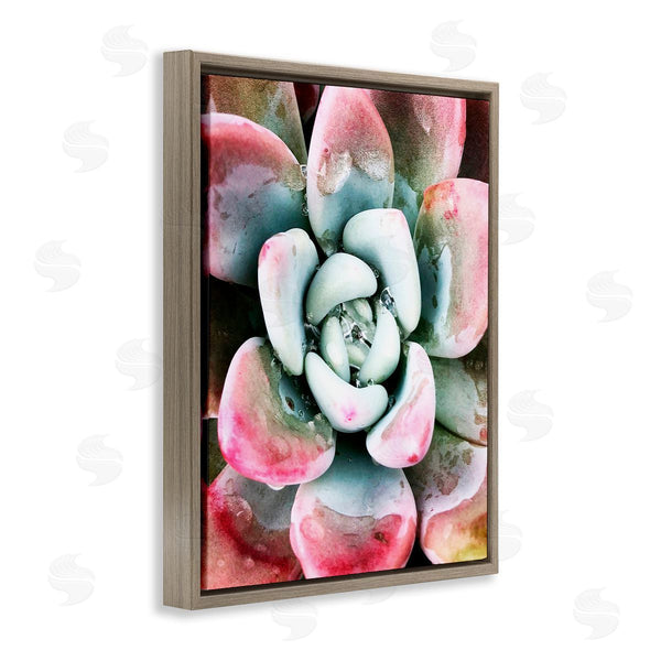 Stupell Industries Irena Orlov | Succulent Plant Rain Droplet Wall Art