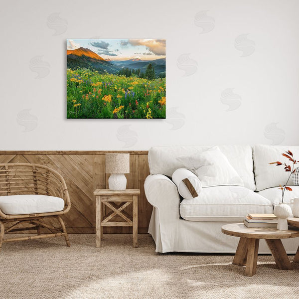 Stupell Industries J.C. Leacock | Open Wildflower Fields Cloudy Sunrise Mountain Landscape Wall Art
