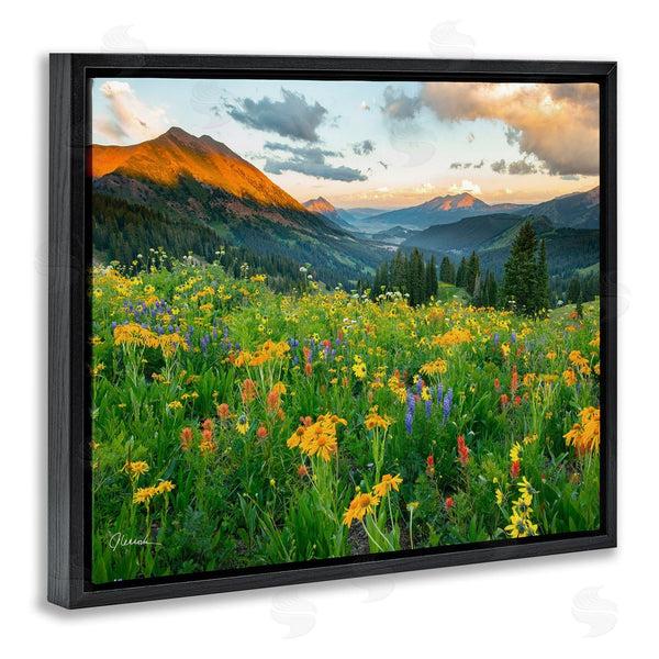 Stupell Industries J.C. Leacock | Open Wildflower Fields Cloudy Sunrise Mountain Landscape Wall Art