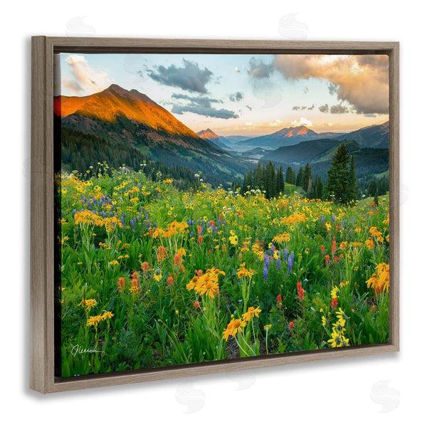 Stupell Industries J.C. Leacock | Open Wildflower Fields Cloudy Sunrise Mountain Landscape Wall Art