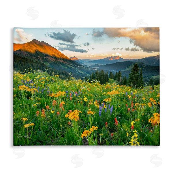 stupell industries J.C. Leacock | Open Wildflower Fields Cloudy Sunrise Mountain Landscape Wall Art