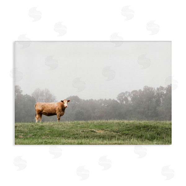stupell industries J:L Design | Highland Grace Cattle