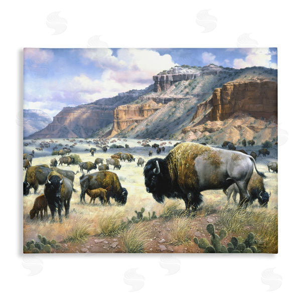 stupell industries Jack Sorenson | Grazing Bison & Buffalo