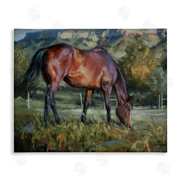stupell industries Jack Sorenson | Grazing Horse in Pasture