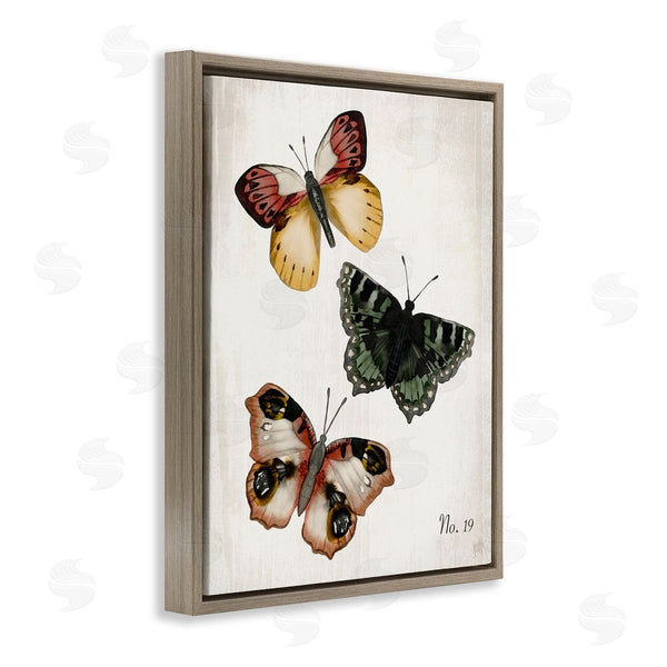 Stupell Industries Jackie Quigley | Trio Of Butterflies Farmhouse Patterned Wings Charming Insects Wall Art