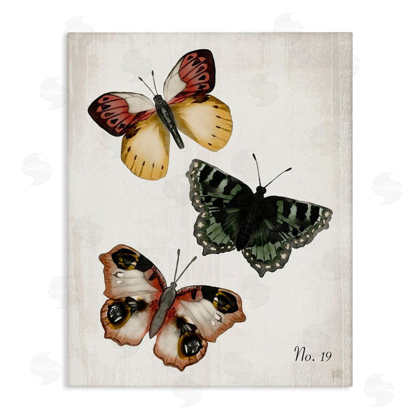 stupell industries Jackie Quigley | Trio of Butterflies Farmhouse Patterned Wings Charming Insects Wall Art