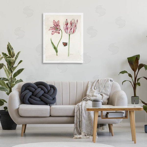 Stupell Industries Jacob Marrel | Classic Tulip & Butterfly Wall Art