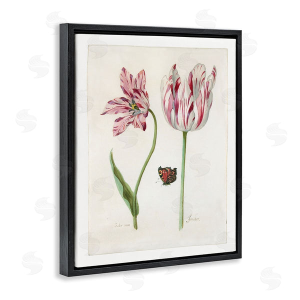 Stupell Industries Jacob Marrel | Classic Tulip & Butterfly Wall Art