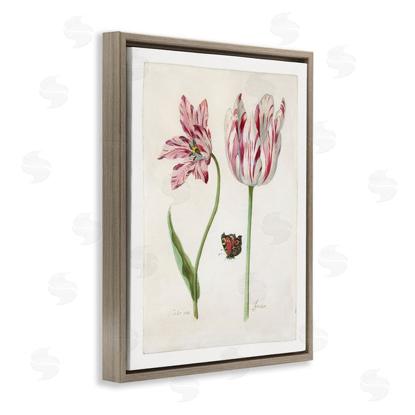 Stupell Industries Jacob Marrel | Classic Tulip & Butterfly Wall Art