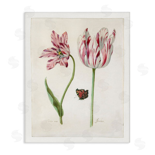 stupell industries Jacob Marrel | Classic Tulip & Butterfly Wall Art