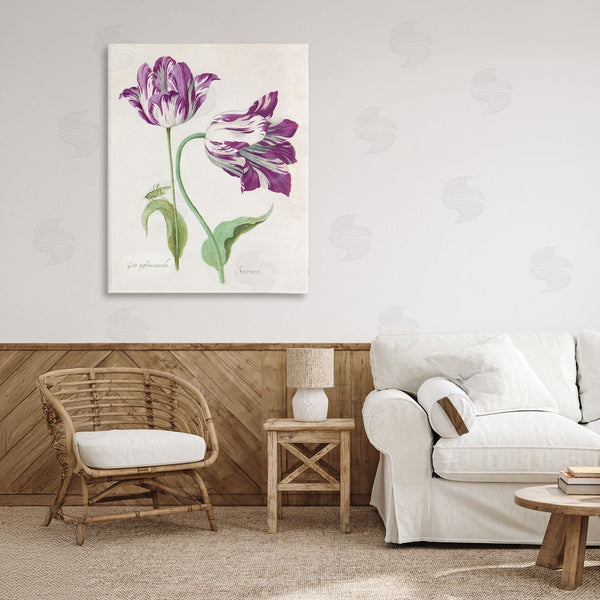 Stupell Industries Jacob Marrel | Two Tulips Purple Florals