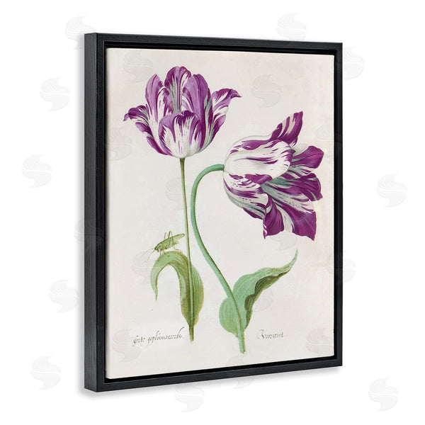 Stupell Industries Jacob Marrel | Two Tulips Purple Florals