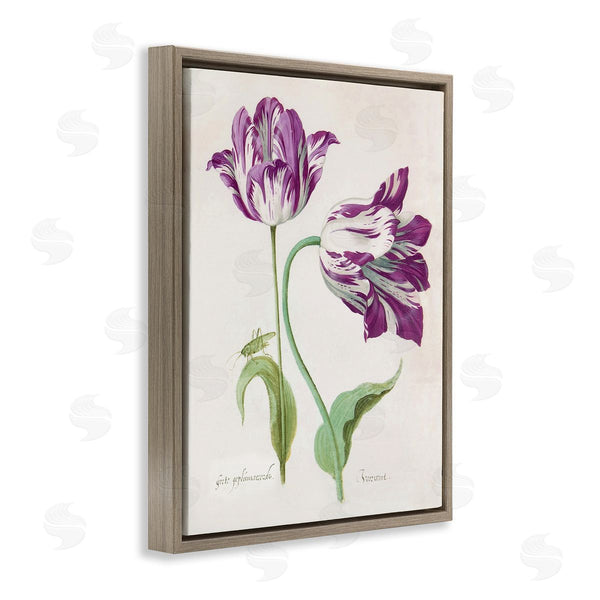 Stupell Industries Jacob Marrel | Two Tulips Purple Florals