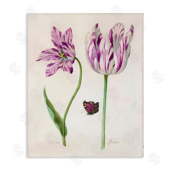 stupell industries Jacob Marrel | Two Tulips Purple Flowers