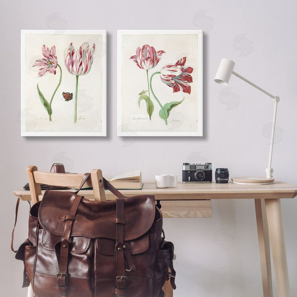 Stupell Industries Jacob Marrel | Vintage Tulip & Insect Studies Wall Art