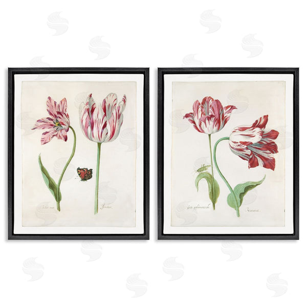 Stupell Industries Jacob Marrel | Vintage Tulip & Insect Studies Wall Art