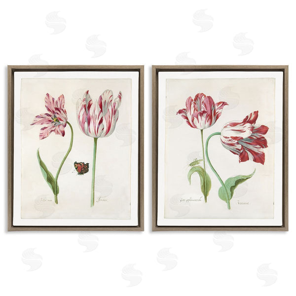 Stupell Industries Jacob Marrel | Vintage Tulip & Insect Studies Wall Art
