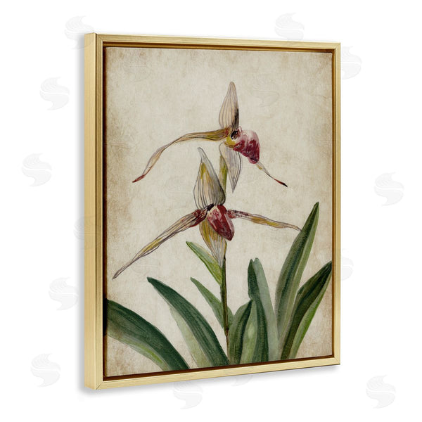 Stupell Industries Jacob Q | Birds Of Paradise Vintage