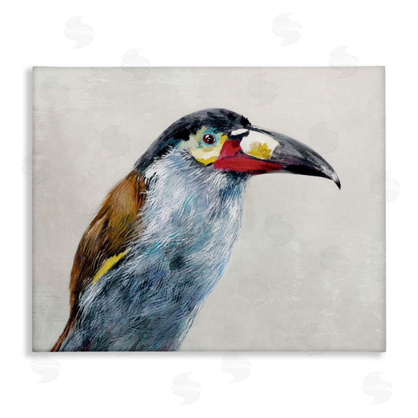 stupell industries Jacob Q | Black Billed Mountain Toucan