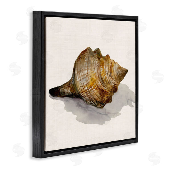 Stupell Industries Jacob Q | Conch Shell On Beige Wall Art