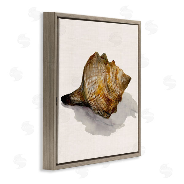 Stupell Industries Jacob Q | Conch Shell On Beige Wall Art