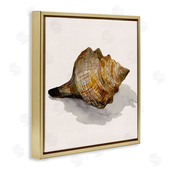 Stupell Industries Jacob Q | Conch Shell On Beige Wall Art