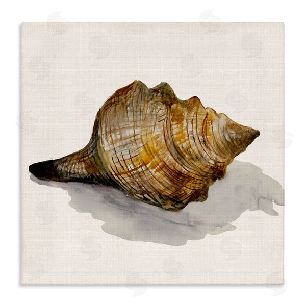 stupell industries Jacob Q | Conch Shell on Beige Wall Art