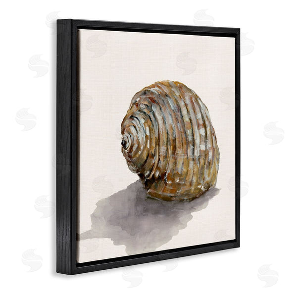 Stupell Industries Jacob Q | Curved Seashell On Beige