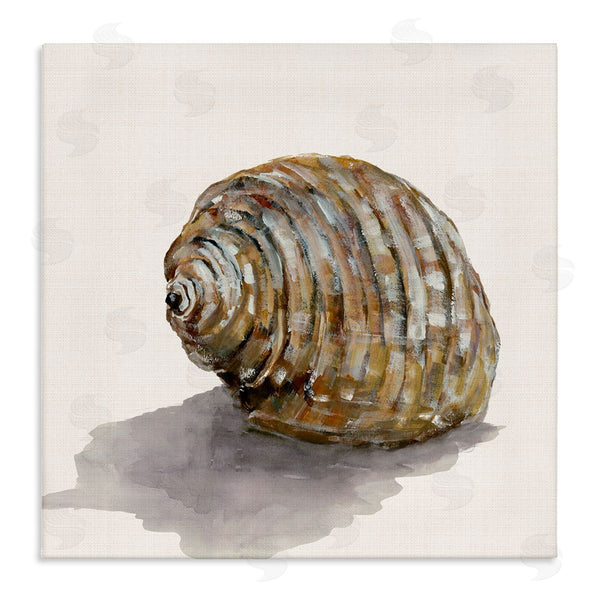 stupell industries Jacob Q | Curved Seashell on Beige