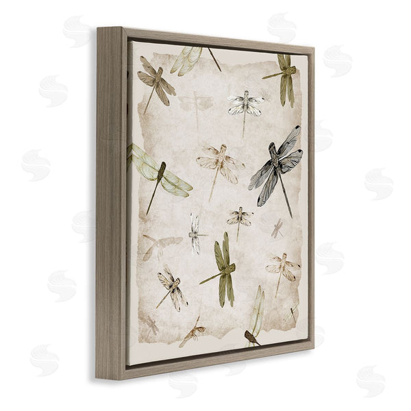 Stupell Industries Jacob Q | Glide In Grace Dragonflies