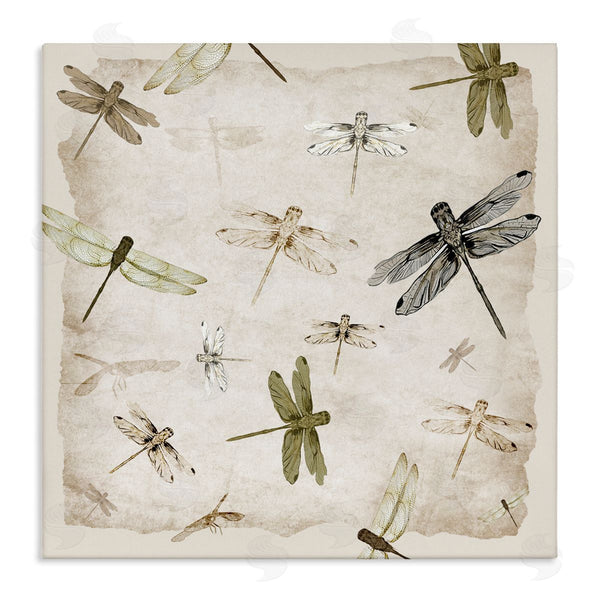 stupell industries Jacob Q | Glide In Grace Dragonflies