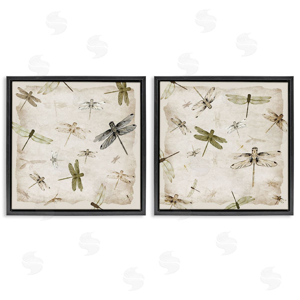 Stupell Industries Jacob Q | Graceful Dragonflies Illustrations
