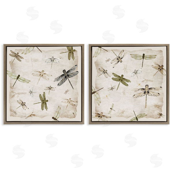 Stupell Industries Jacob Q | Graceful Dragonflies Illustrations