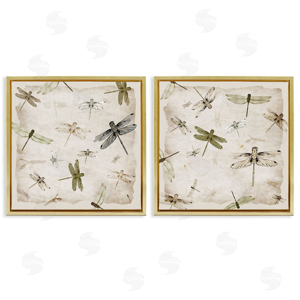 Stupell Industries Jacob Q | Graceful Dragonflies Illustrations