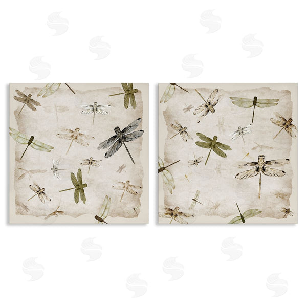 stupell industries Jacob Q | Graceful Dragonflies Illustrations