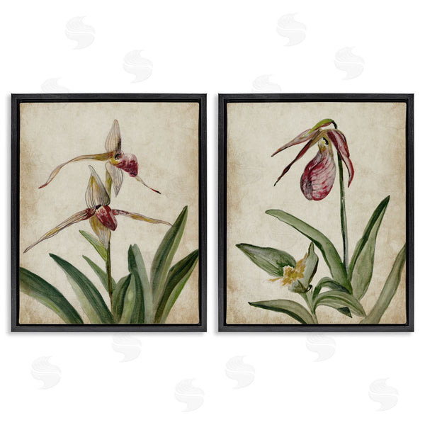 Stupell Industries Jacob Q | Vintage Blooming Birds Of Paradise