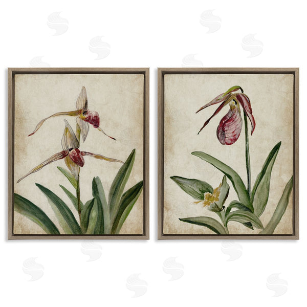 Stupell Industries Jacob Q | Vintage Blooming Birds Of Paradise