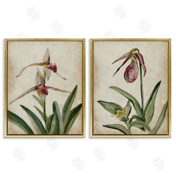Stupell Industries Jacob Q | Vintage Blooming Birds Of Paradise