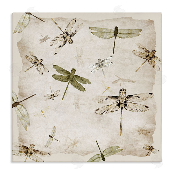 stupell industries Jacob Q | Vintage Grace Dragonflies